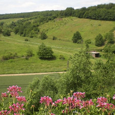 Feilbingert Landhotel Lembergblick מראה חיצוני תמונה