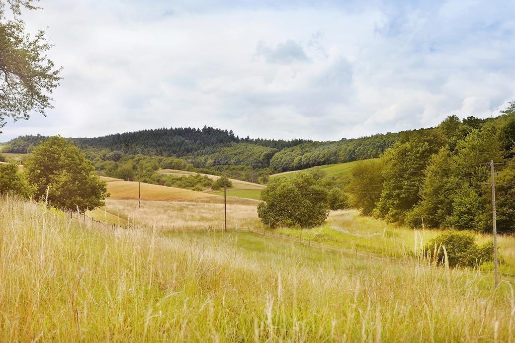 Feilbingert Landhotel Lembergblick מראה חיצוני תמונה