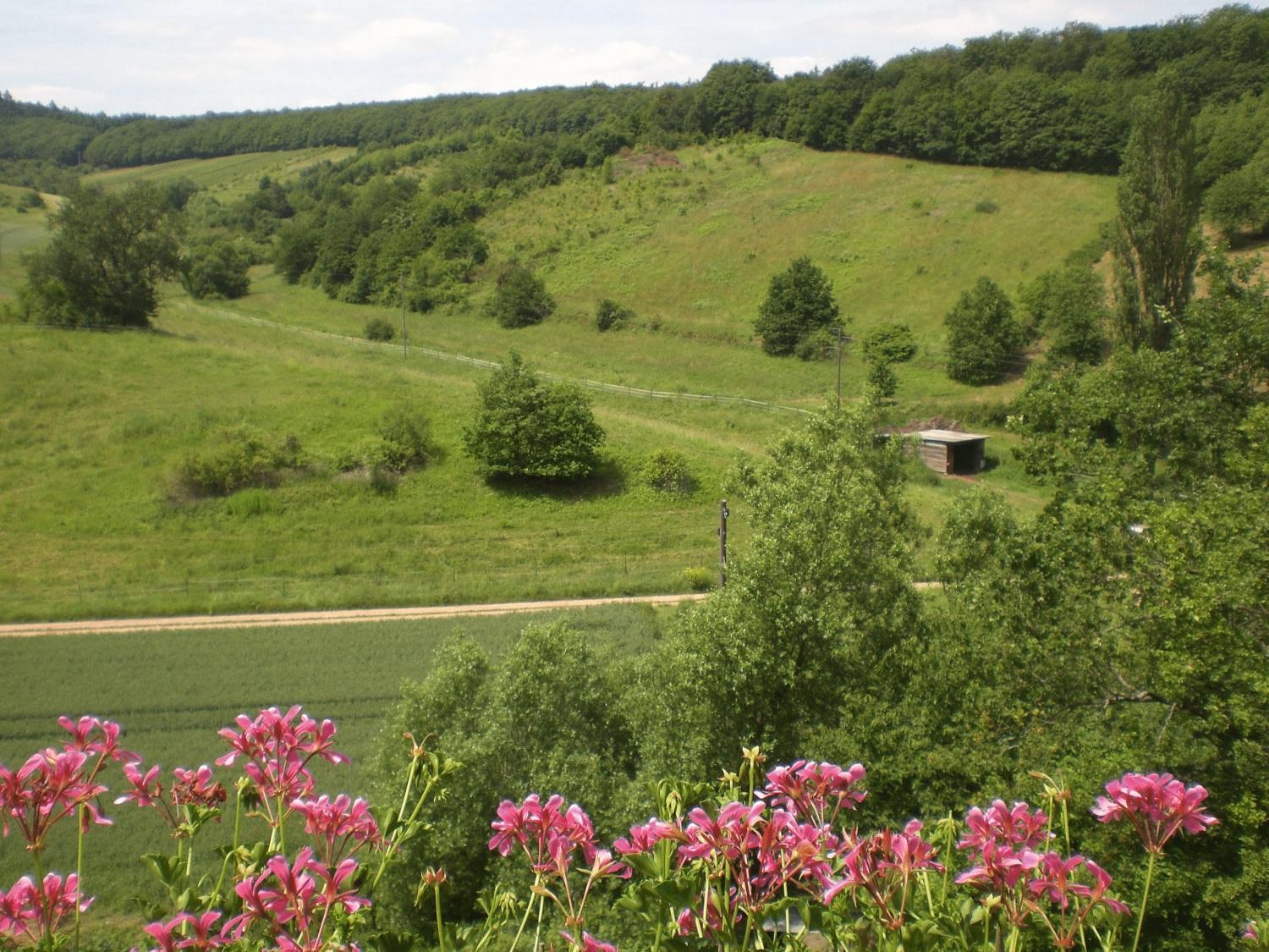 Feilbingert Landhotel Lembergblick מראה חיצוני תמונה